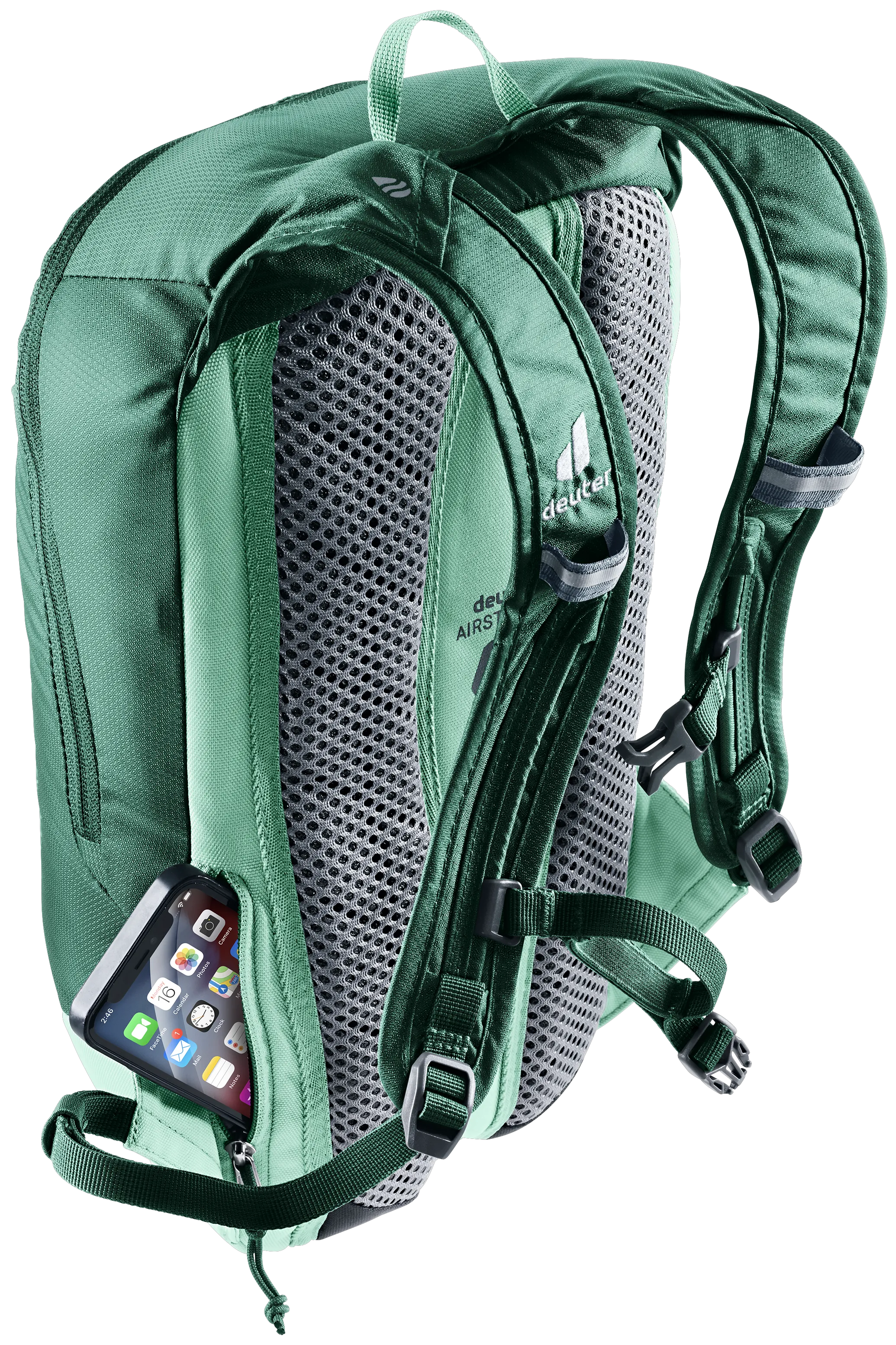 Seagreen Spearmint
