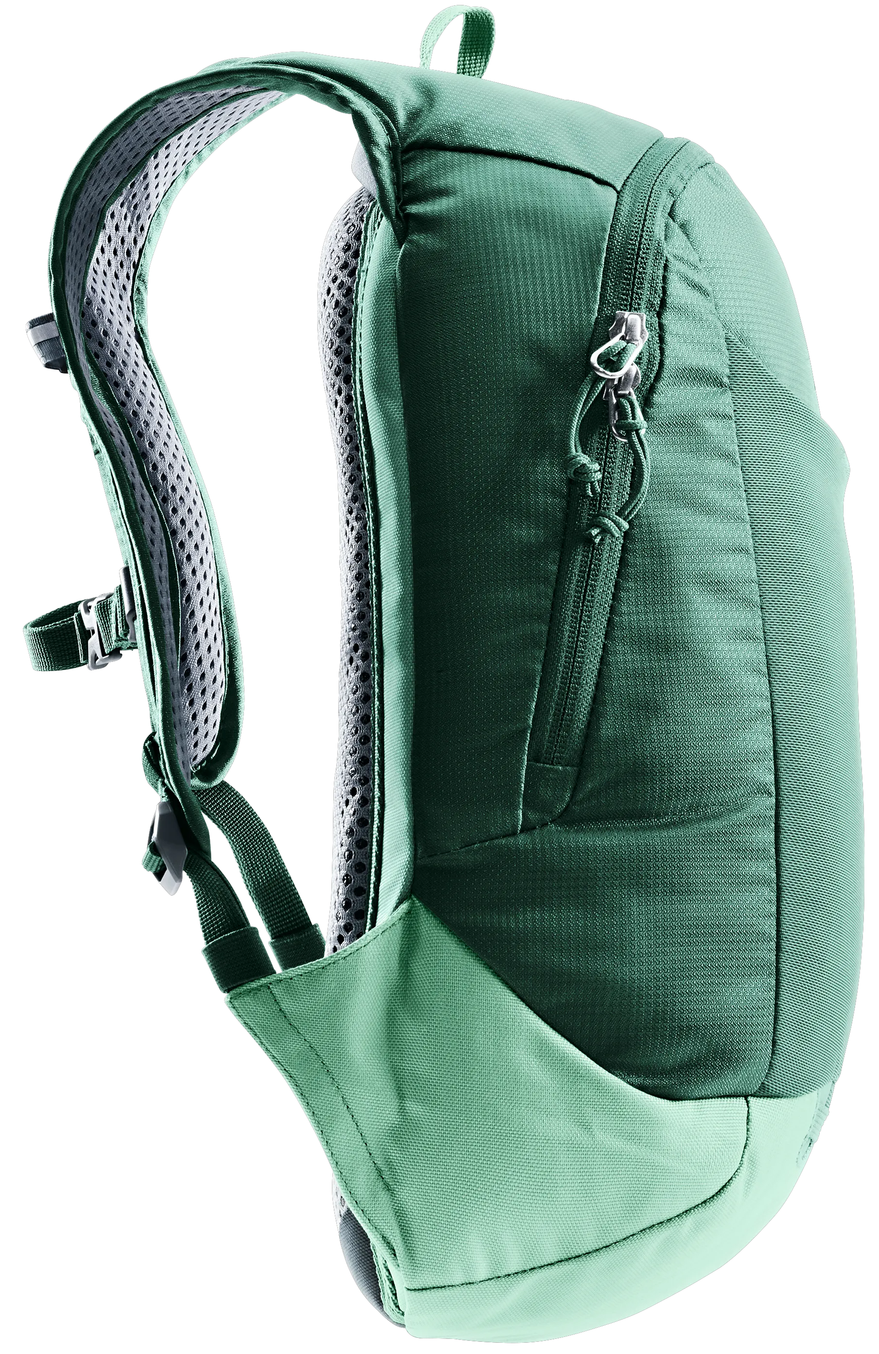 Seagreen Spearmint