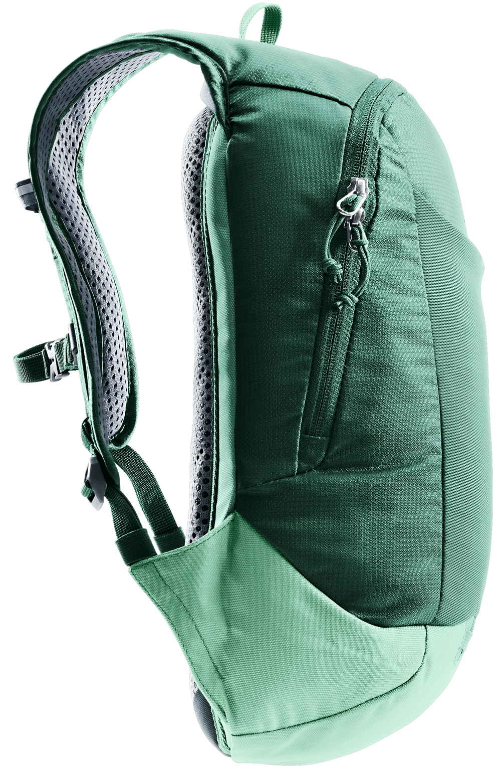 Seagreen Spearmint