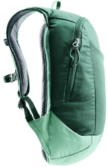 Seagreen Spearmint
