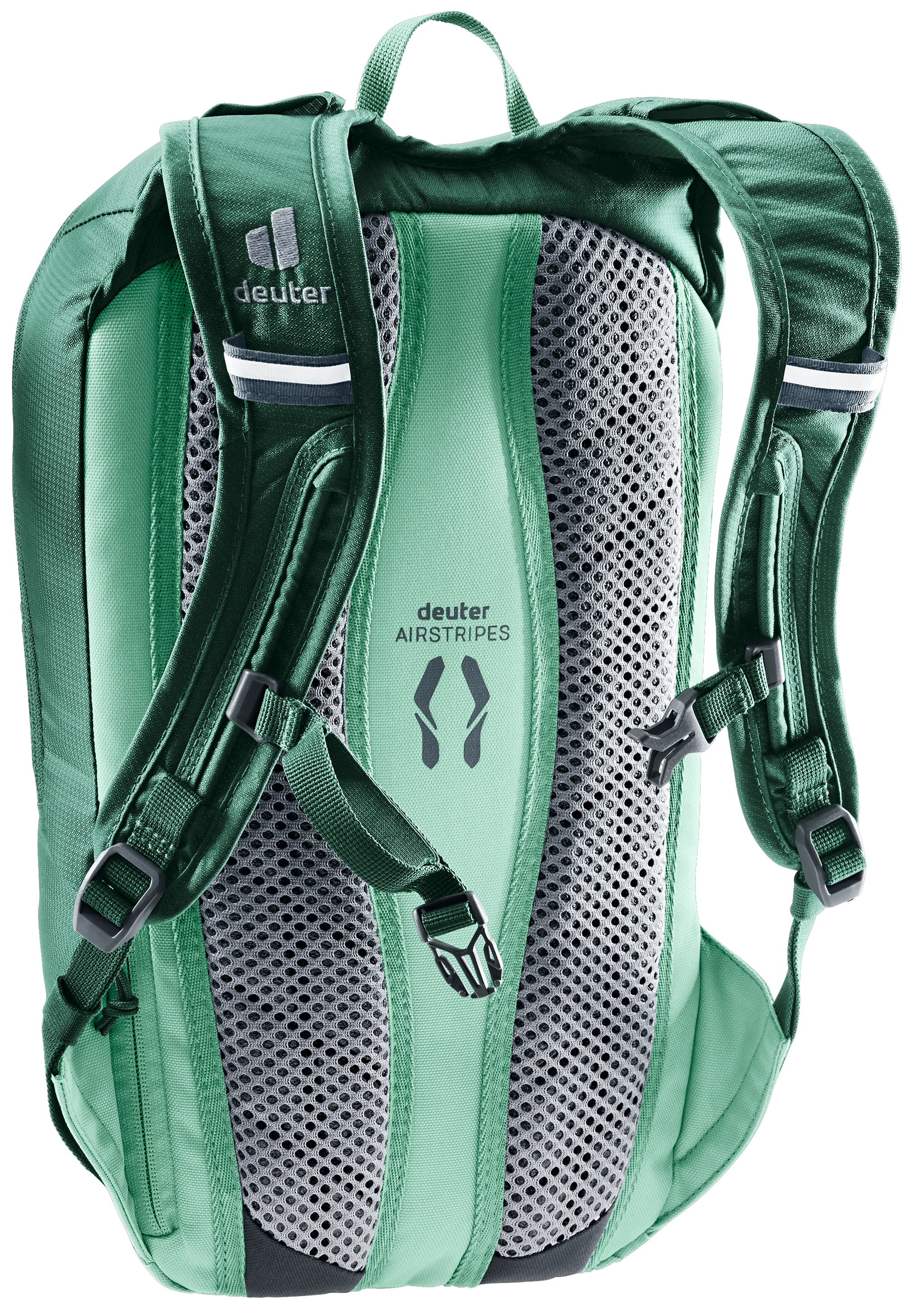Seagreen Spearmint