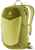 Linden Cactus