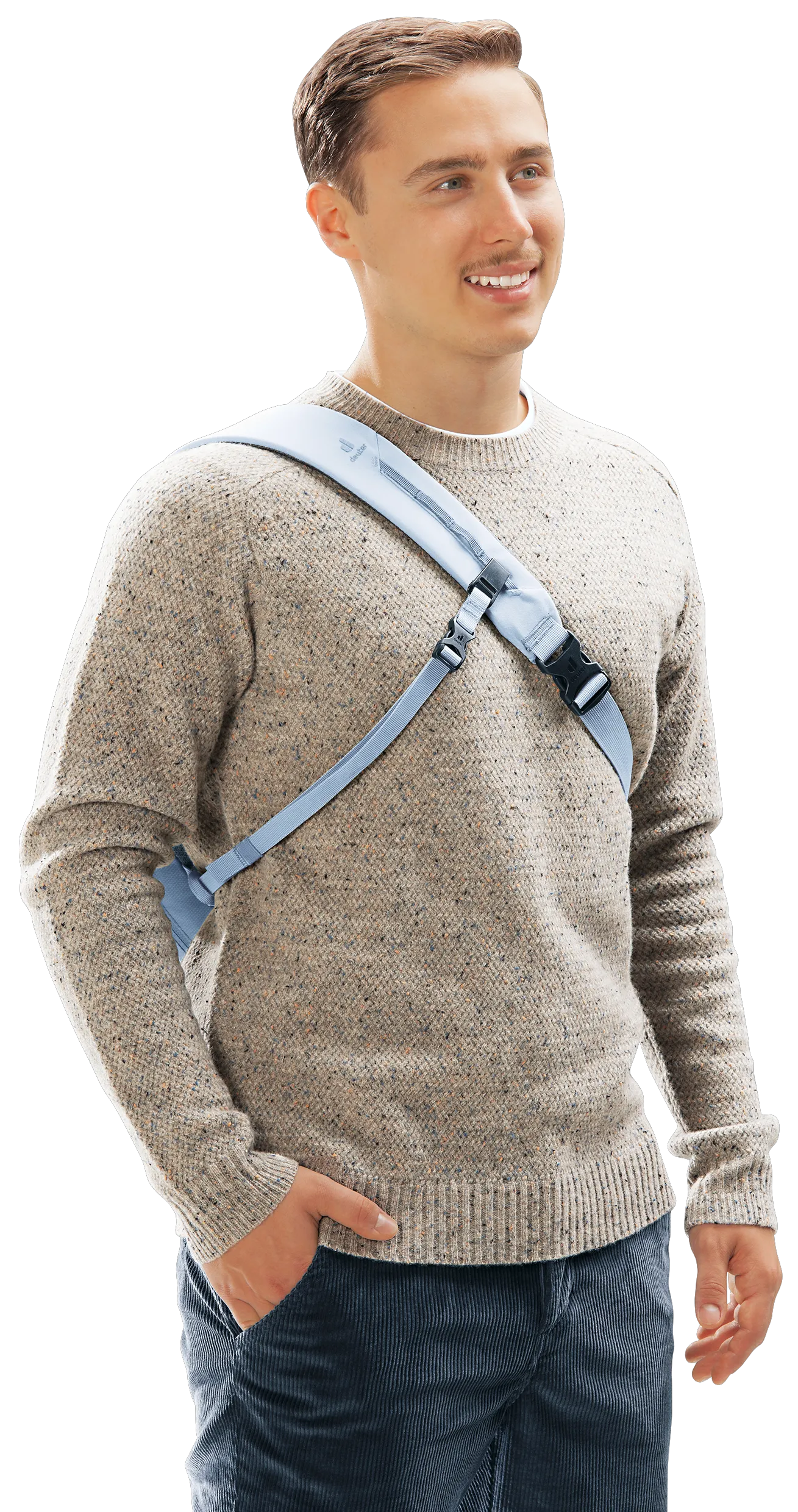 Bluejay Polar