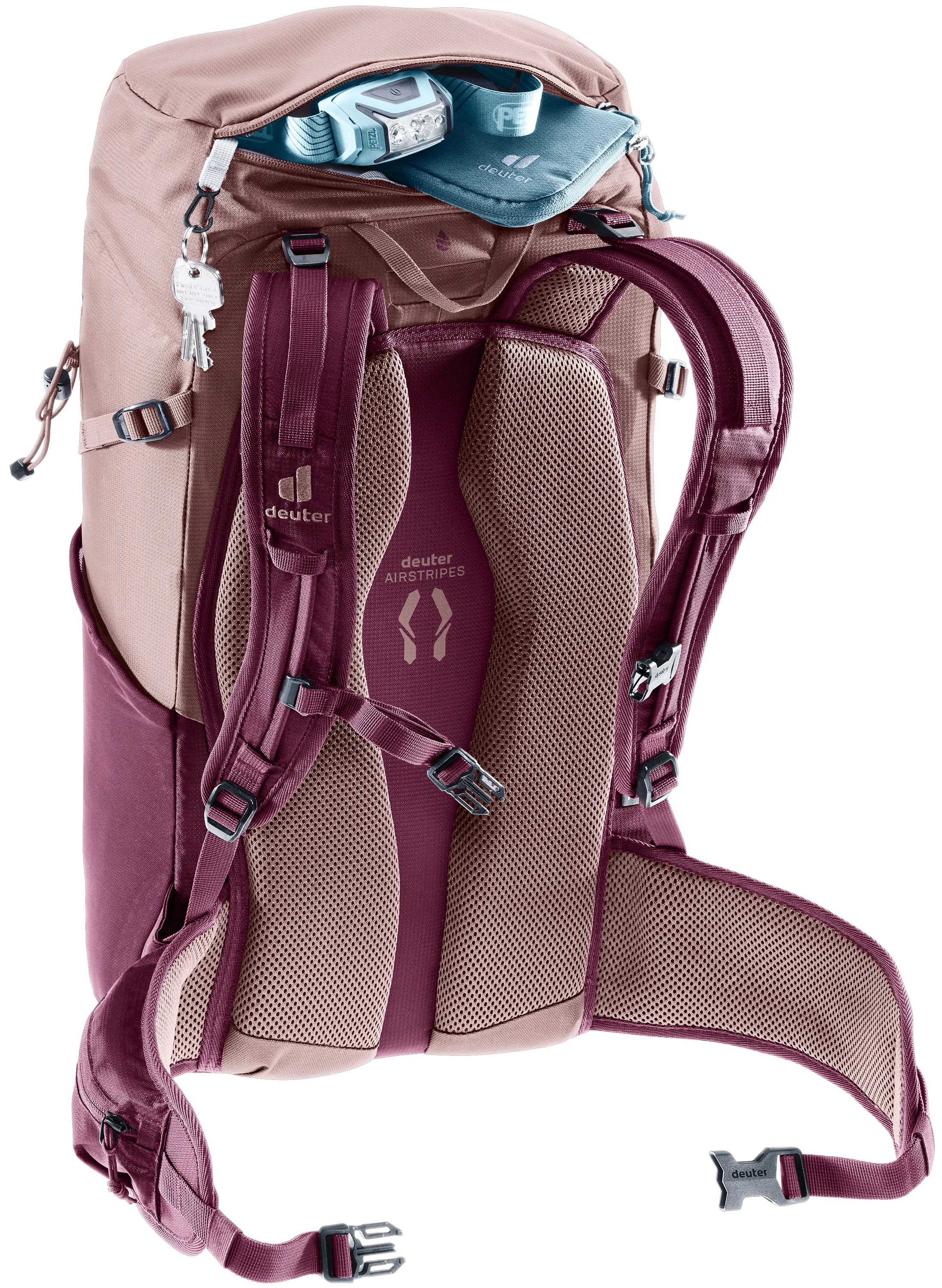 Ashrose Cassis