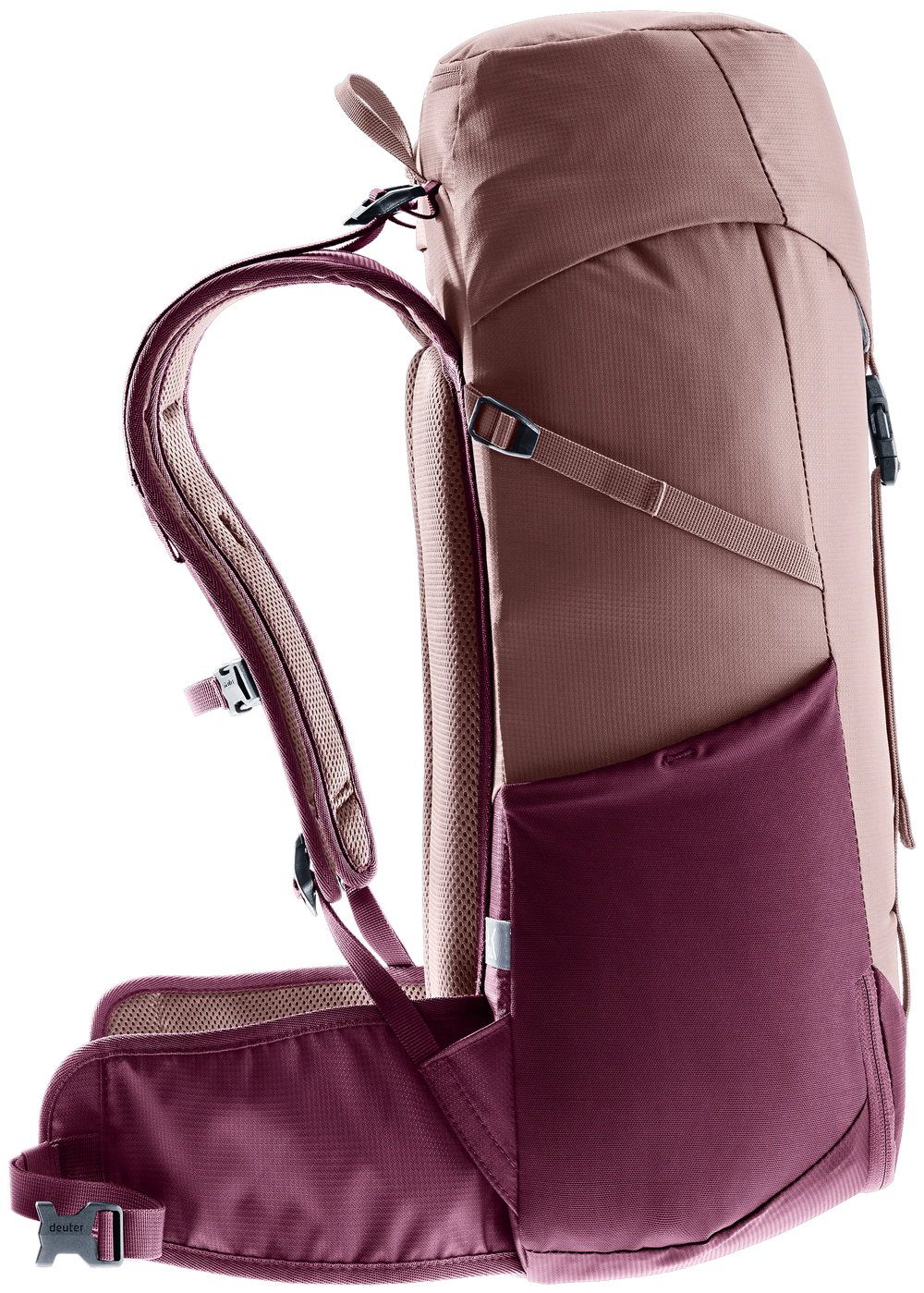 Ashrose Cassis