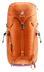 Chestnut Maron