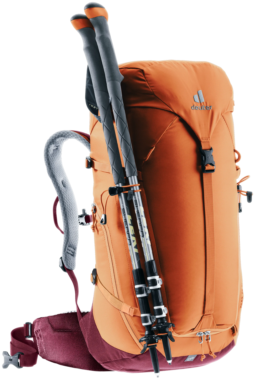 Chestnut Maron